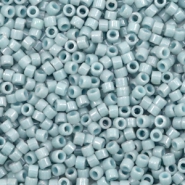 Perline Miyuki Delica 11/0 Duracoat opaque dyed moody blue DB-2129