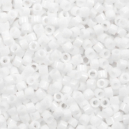 Perline Miyuki Delica 11/0 Matte AB white DB-351