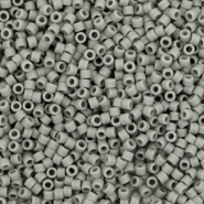 Perline Miyuki Delica 11/0 Opaque matte gray DB-761
