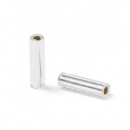 Perline Miyuki Bugle 6 mm Silverlined crystal BGL2-1