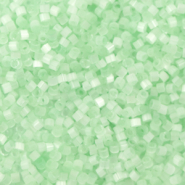 Perline Miyuki Delica 11/0 Silk satin mint green DB-828