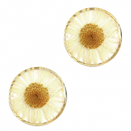Distanziatori con fiore secchi 20mm oro-bege