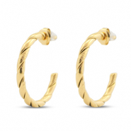 Orecchini in acciaio inossidabil a cerchio oro