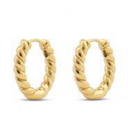 Orecchini in acciaio inossidabil a cerchio oro