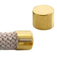 Terminali di metallo DQ oro (privo di nichel)
