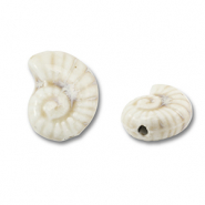 Perline di ceramica conchiglia biancastro