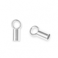 Componenti di metallo DQ Eco-brass&reg; terminale argento antico (privo di nichel)