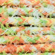 Paracord alla moda 9mm verde-arancione corallo-giallo-banco