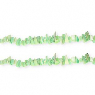 Perline di conchiglia chips verde multicolore