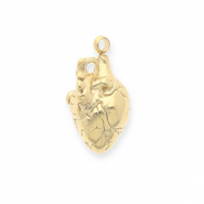 Ciondoli in acciaio inossidabile a forma di cuore anatomico oro