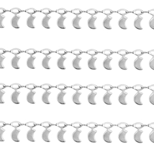 Componenti in acciaio inossidabile catena a rol&ograve; luna argento
