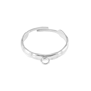 Anelli in acciaio inossidabile con anellino argento