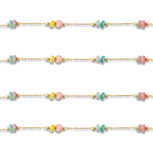 Componenti in acciaio inossidabile catena a rol&ograve; a dischetto oro-multicolore