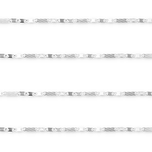 Componenti in acciaio inossidabile catena a rol&ograve; figaro argento