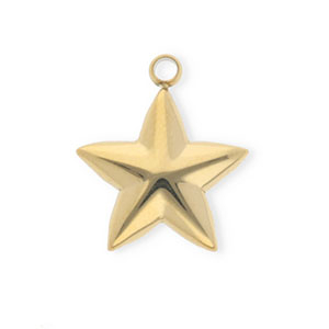 Ciondoli in acciaio inossidabile stella oro